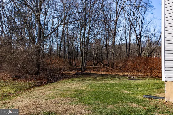 a view of a backyard with large trees