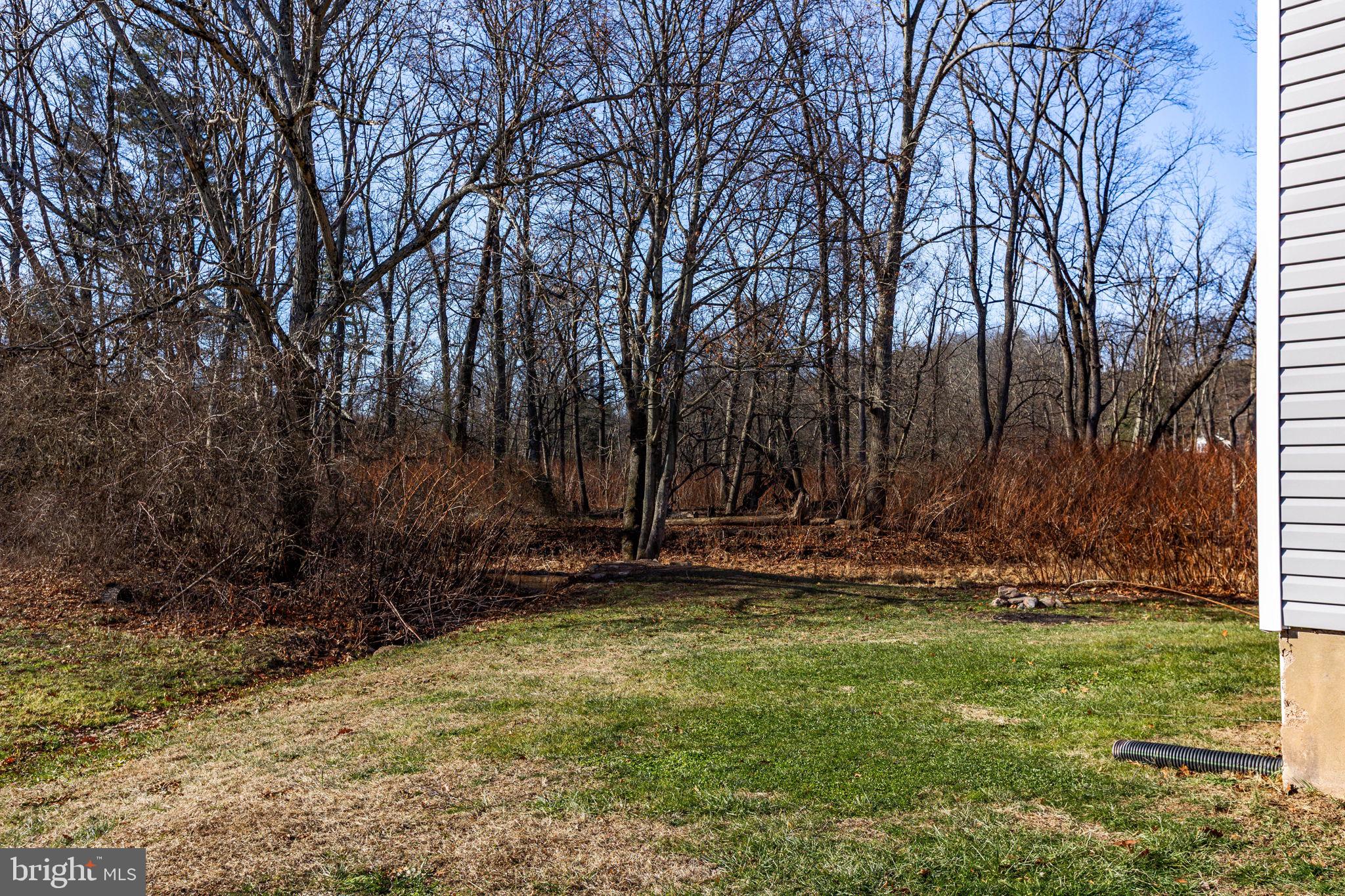 1586 Schwaben Creek Road Dornsife, PA 17823 - Photo 20 of 39 a view of a backyard with large trees