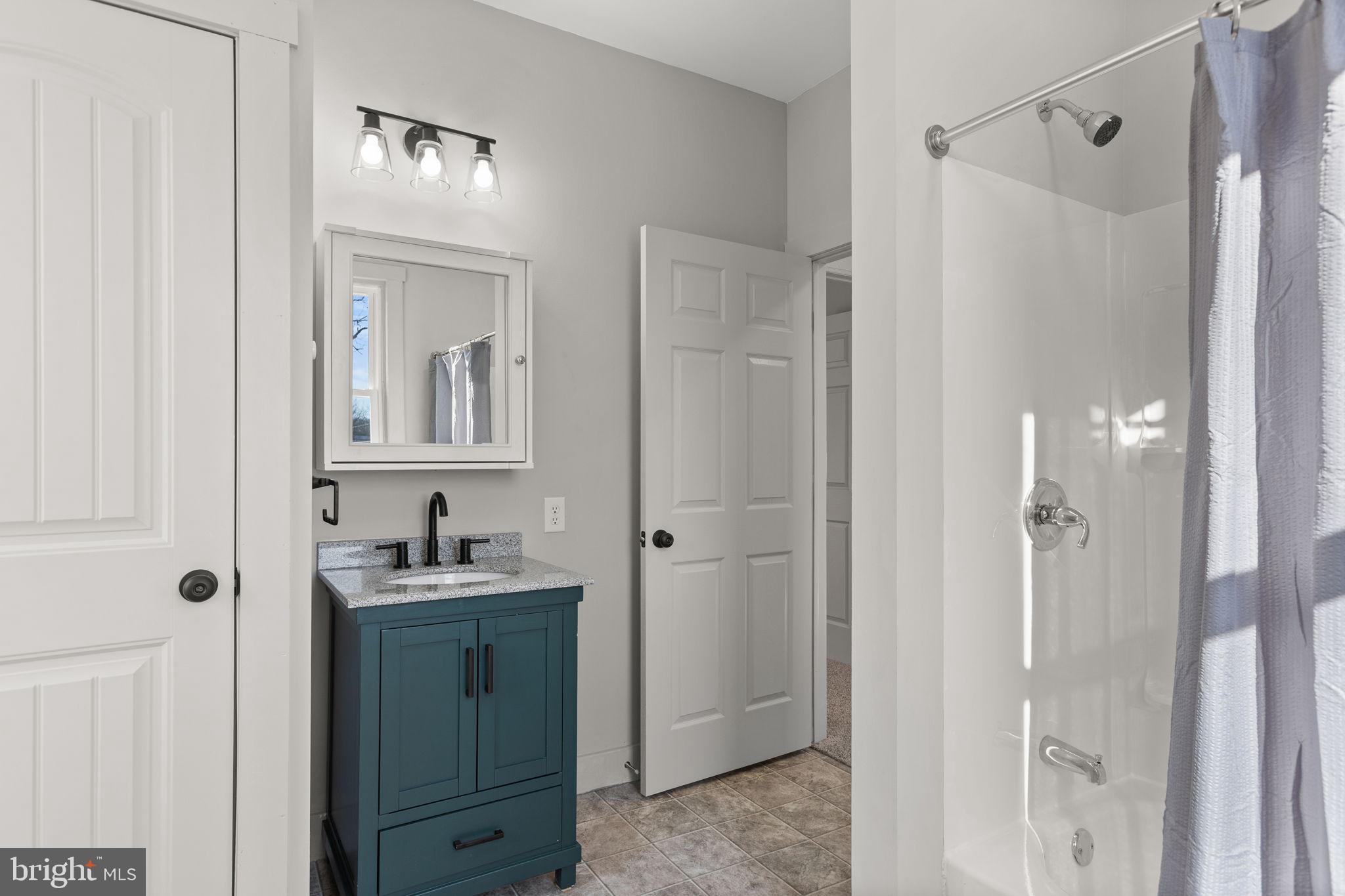 1586 Schwaben Creek Road Dornsife, PA 17823 - Photo 31 of 39 a bathroom with a double vanity sink a mirror and shower