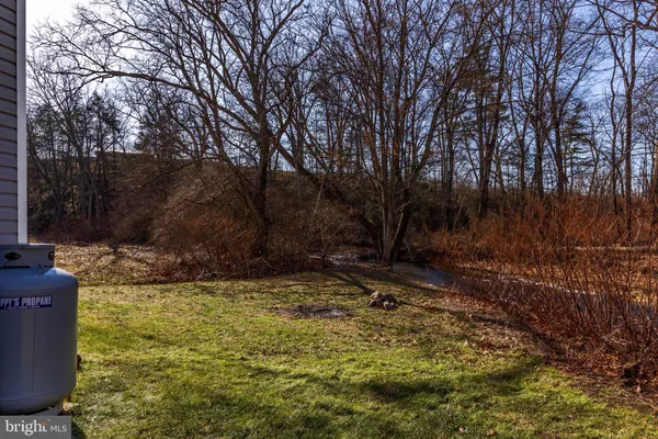 a view of a backyard with large trees