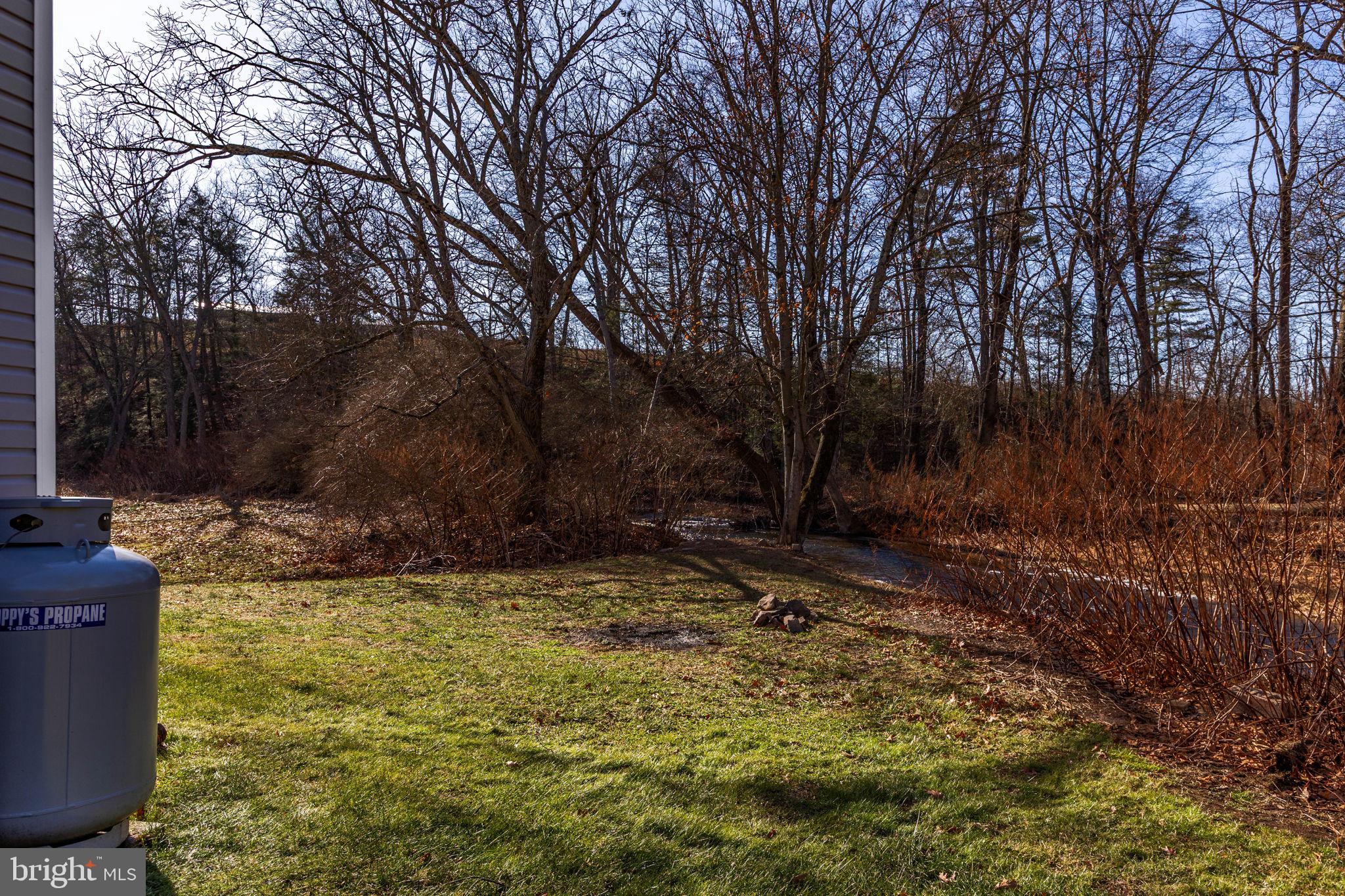 1586 Schwaben Creek Road Dornsife, PA 17823 - Photo 38 of 39 a view of a backyard with large trees