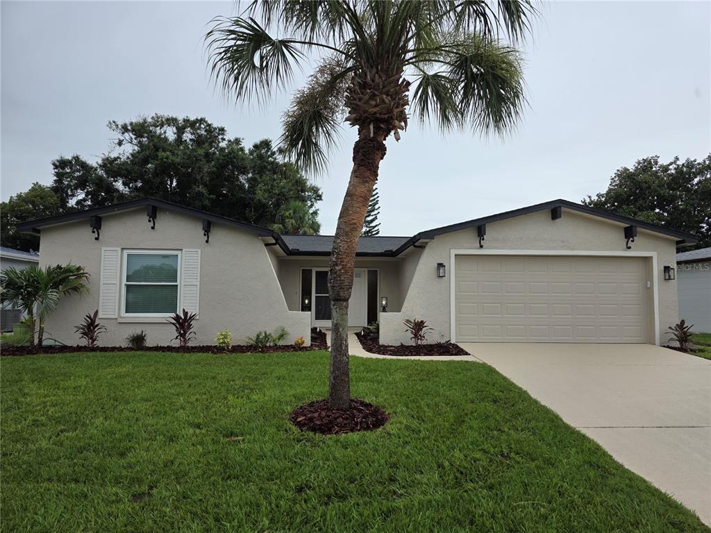 8448 Newton Drive Port Richey, FL 34668 - Photo 4 of 38