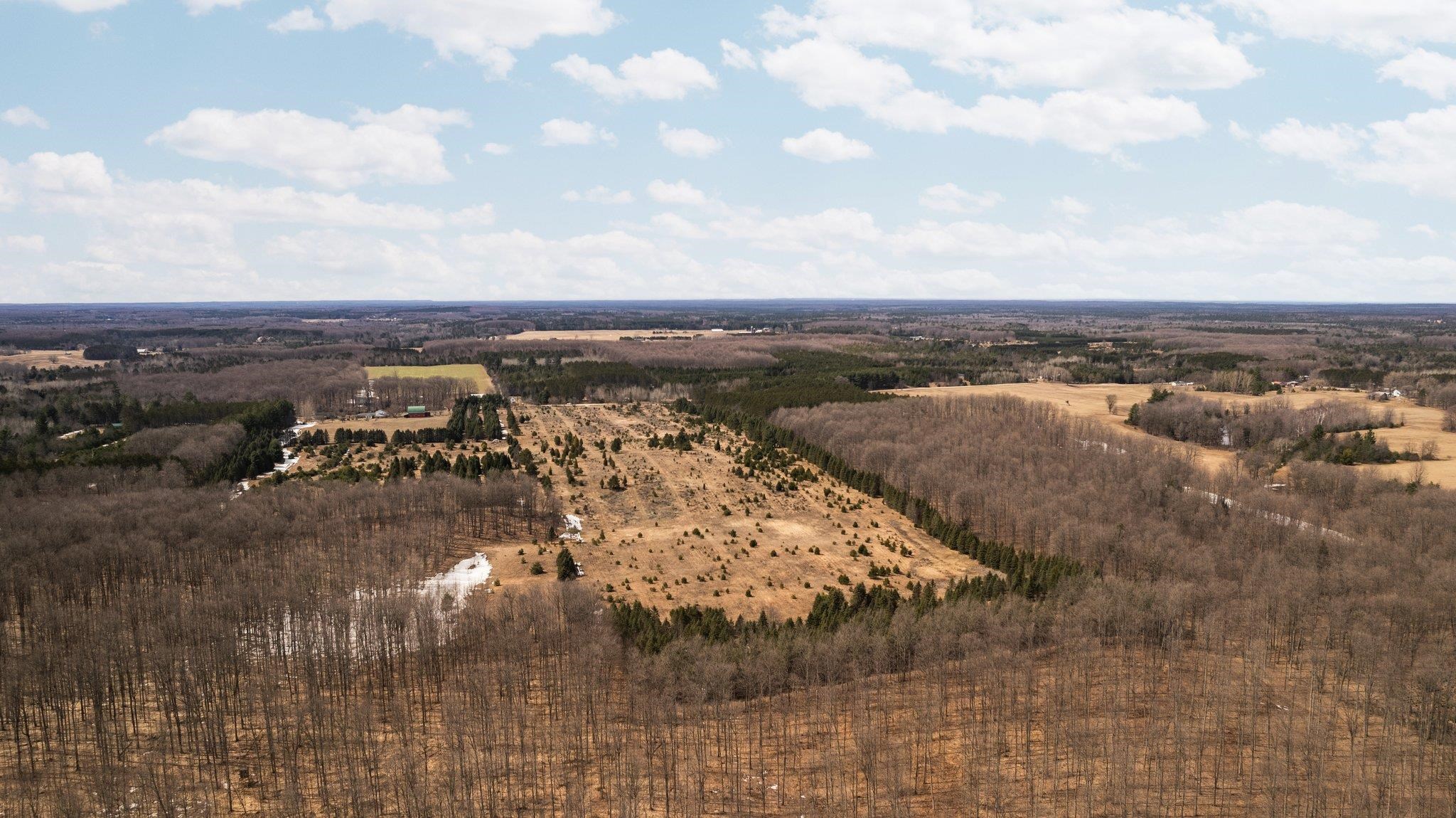0 Hart Road South Boardman, MI 49680 - Photo 11 of 23