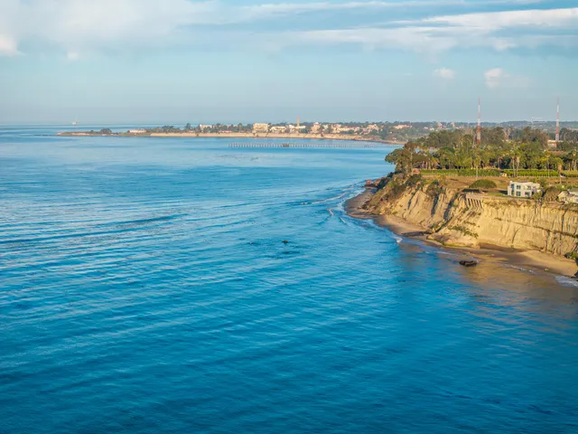 a living room with furniture a potted plant and a table