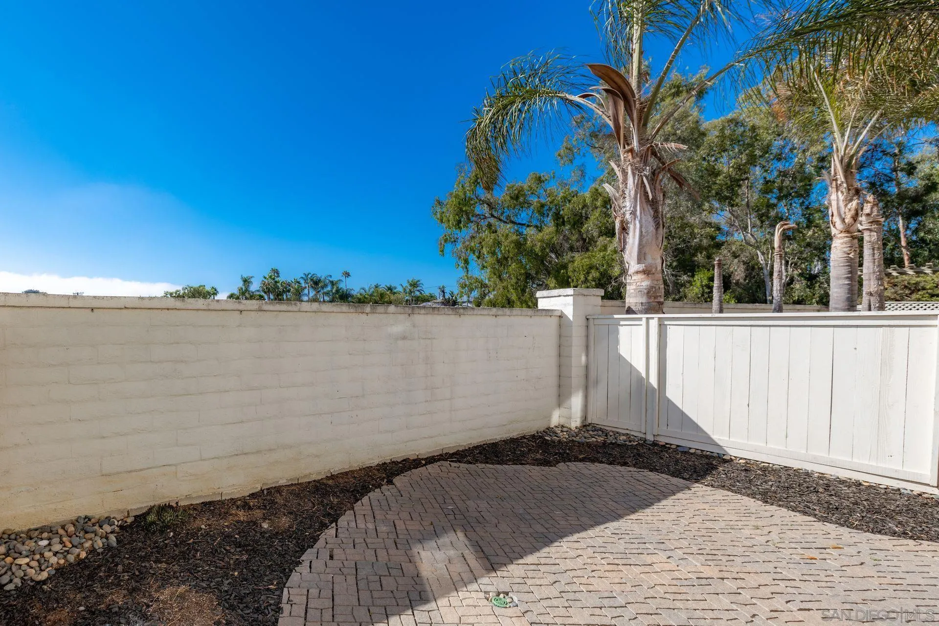 418 Carmel Creeper Place Encinitas, CA 92024 - Photo 9 of 31 a view of a backyard