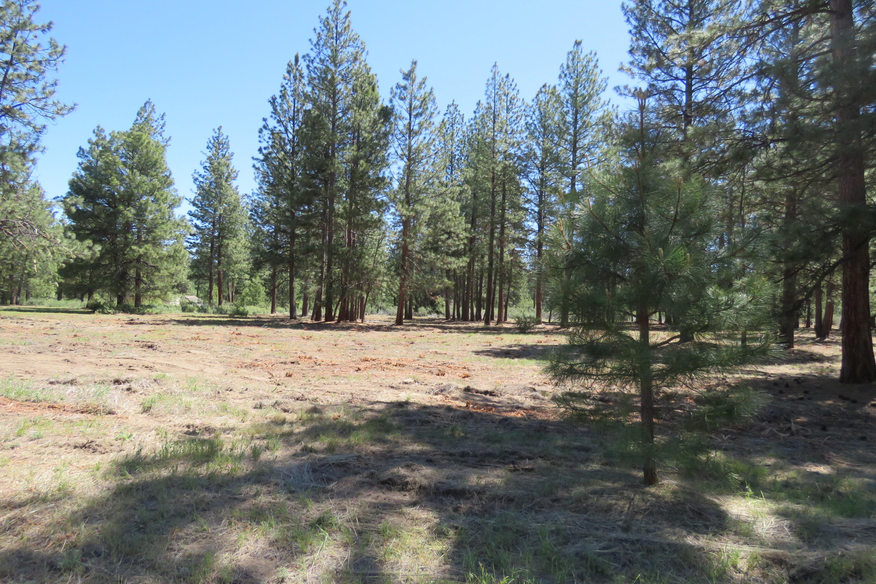 7 Castle Drive Chiloquin, OR 97624 - Photo 6 of 26 IMG_4598
