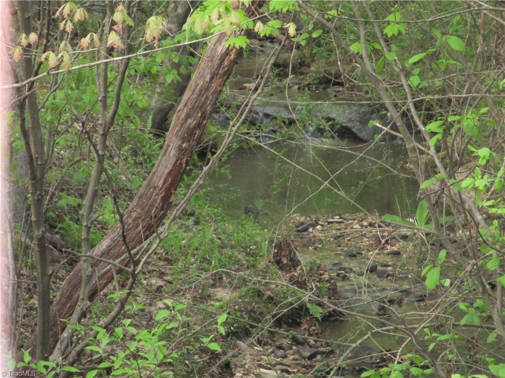 1530 Old Mill Road Pinnacle, NC 27043 - Photo 5 of 10 Creek runs at the lower end of the gently sloping land.