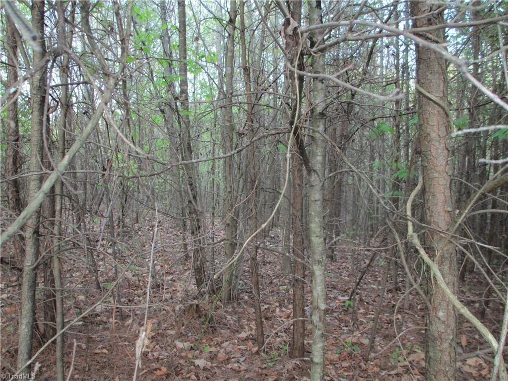 1530 Old Mill Road Pinnacle, NC 27043 - Photo 6 of 10 Approximately 6.5 acres wooded, the rest previously cleared.