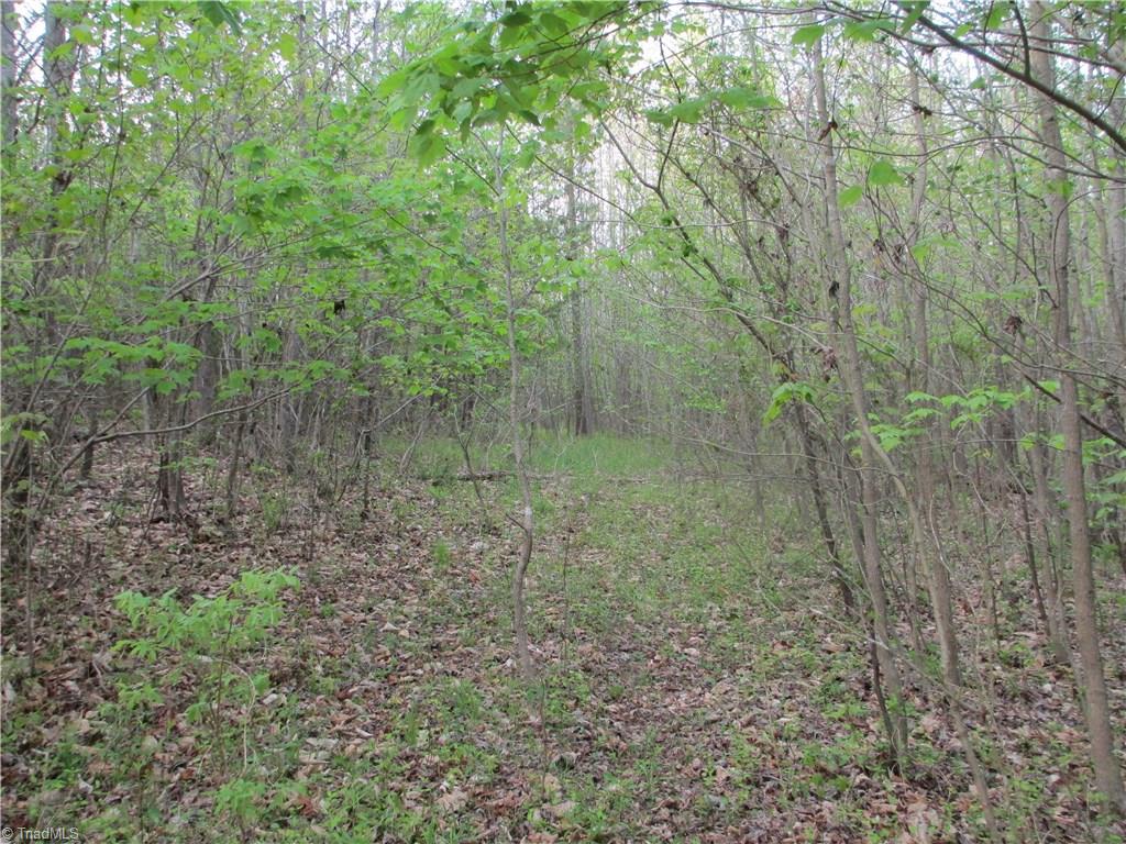 1530 Old Mill Road Pinnacle, NC 27043 - Photo 7 of 10 Cleared land has since had some brush grow up.