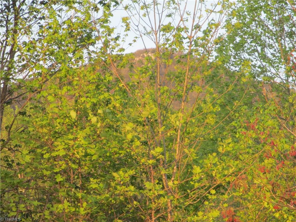 1530 Old Mill Road Pinnacle, NC 27043 - Photo 8 of 10 Mountain views of the Sauratown Mountains abound.
