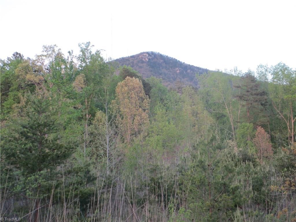 1530 Old Mill Road Pinnacle, NC 27043 - Photo 9 of 10 View of the Sauratown Mountain from the road front.