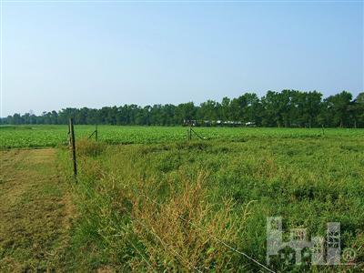 2028 Sarecta Road Beulaville, NC 28518 - Photo 4 of 15 Additional Photo