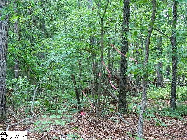118 Cothran Road Belton, SC 29627 - Photo 18 of 30