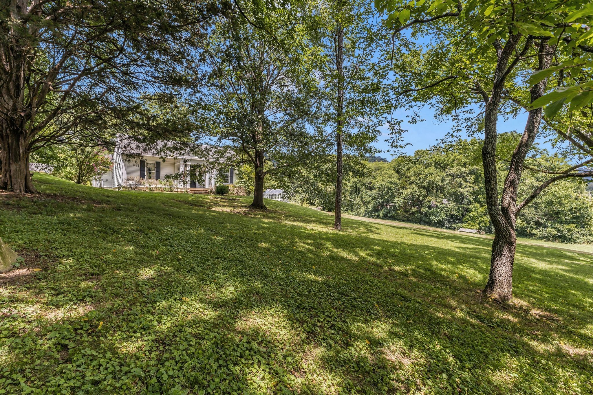 517 Franklin Road Franklin, TN 37069 - Photo 19 of 22 a view of yard with large trees