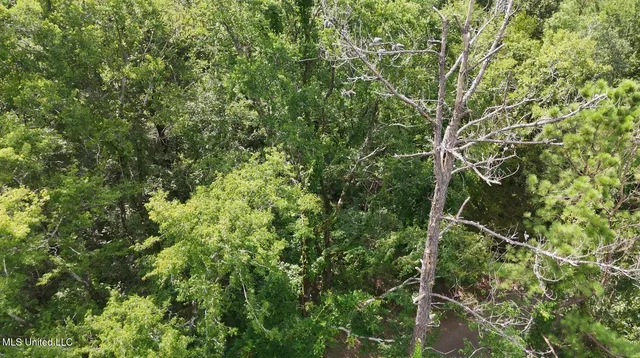 $74,250 | 0 Chapel Hill Road, Utica, MS 39175