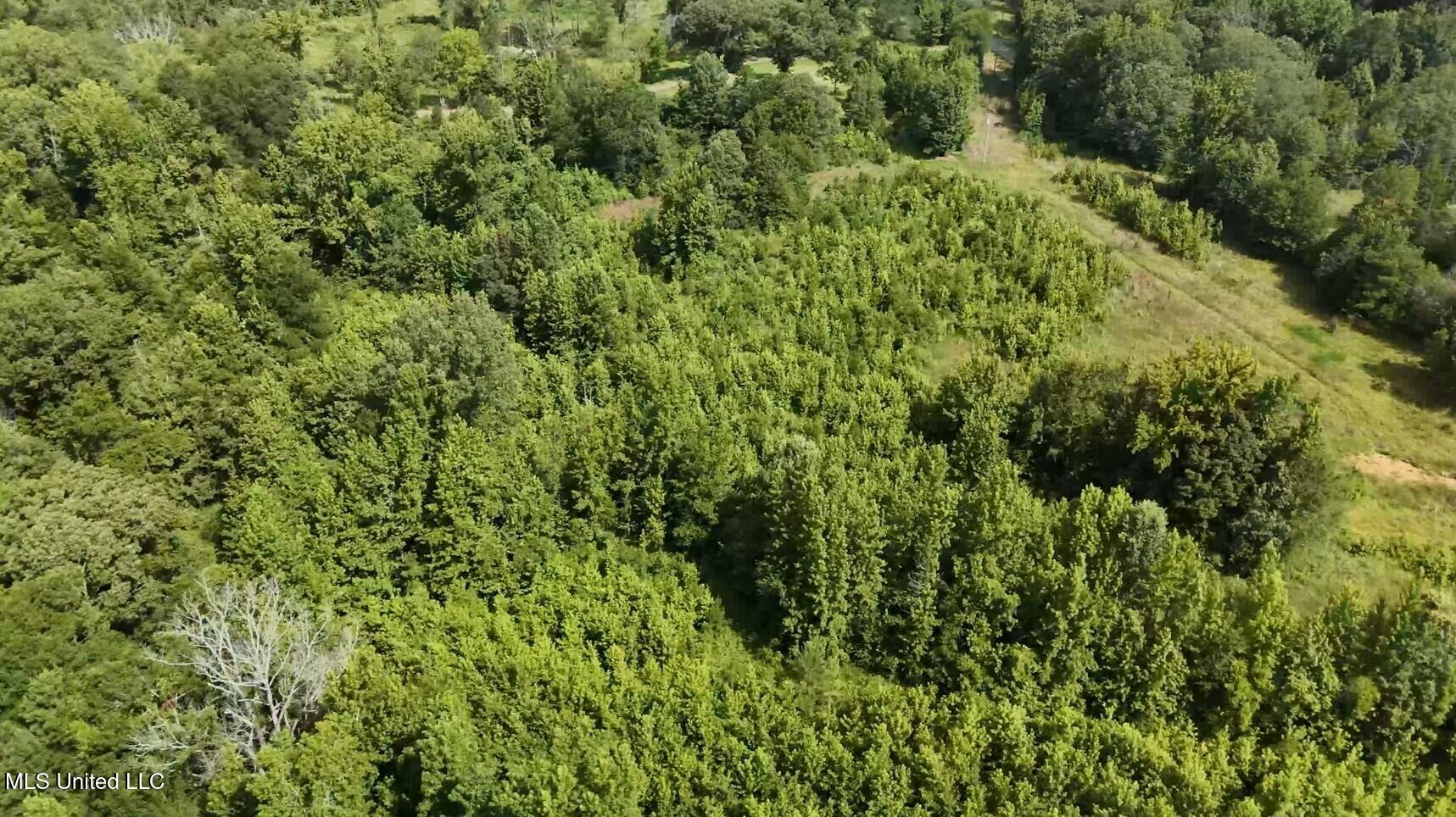 0 Chapel Hill Road Utica, MS 39175 - Photo 4 of 5 0 Chapel Hill 2