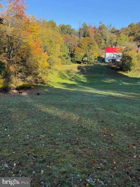 16535 Trenton Road Upperco, MD 21155 - Photo 28 of 41 Spacious backyard