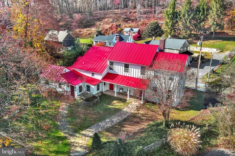 a view of a lot of flowers