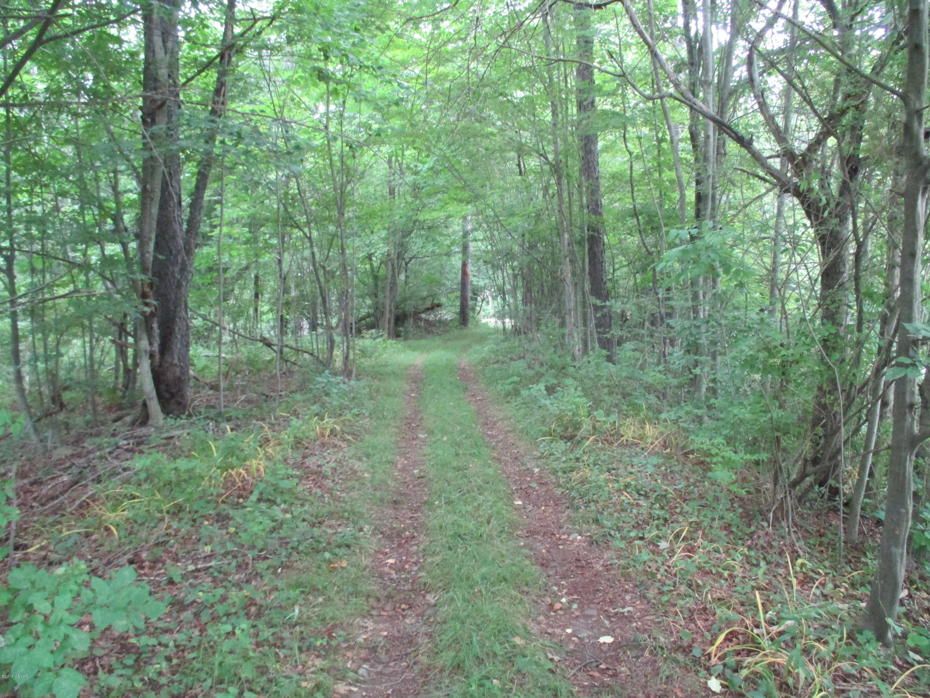 0 Thornedale Road Dushore, PA 18614 - Photo 1 of 8 IMG_1444