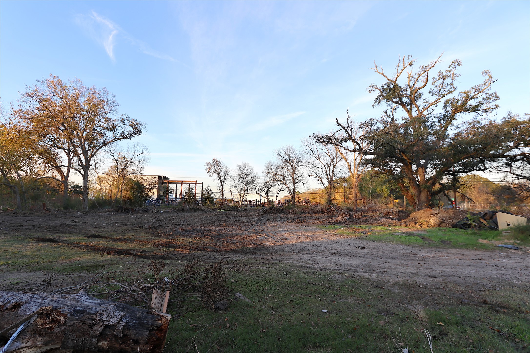 5822 Almeda Genoa Road Houston, TX 77048 - Photo 3 of 6 a view of a yard with large trees