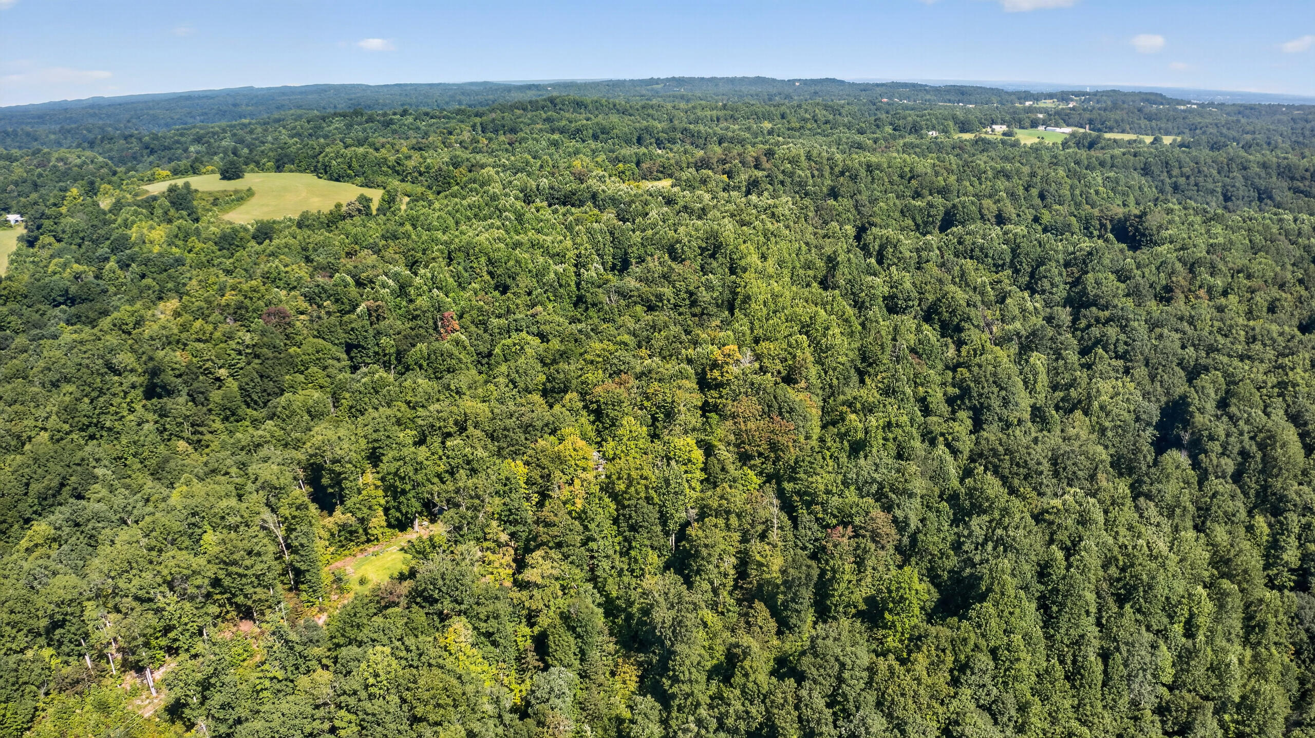7045 White Oak Road Junction City, KY 40440 - Photo 38 of 39 138