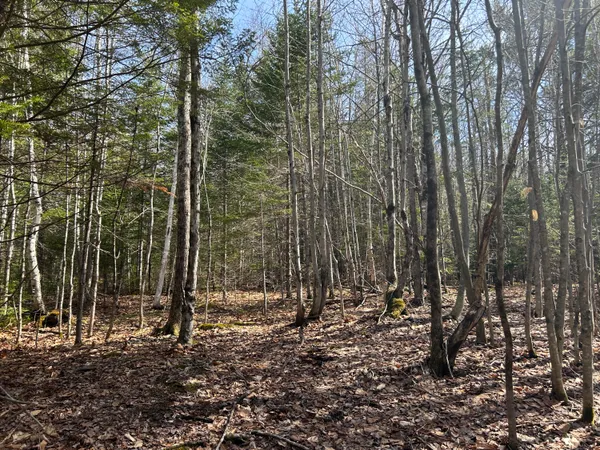 $39,900 | Lot 4 Holley Road, Farmington, ME 04938