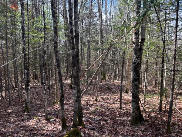 $39,900 | Lot 4 Holley Road, Farmington, ME 04938