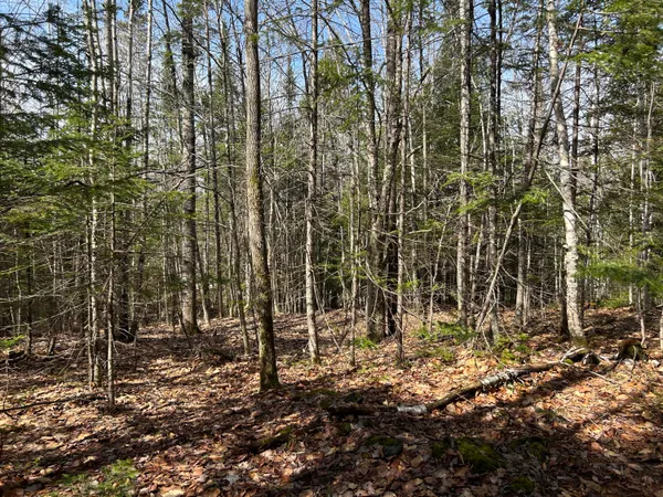 $39,900 | Lot 4 Holley Road, Farmington, ME 04938