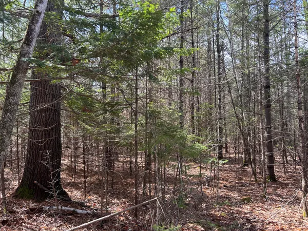 $39,900 | Lot 4 Holley Road, Farmington, ME 04938