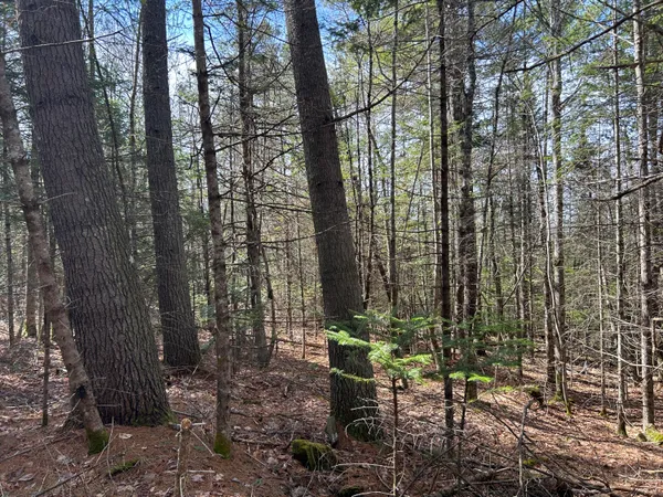$39,900 | Lot 4 Holley Road, Farmington, ME 04938