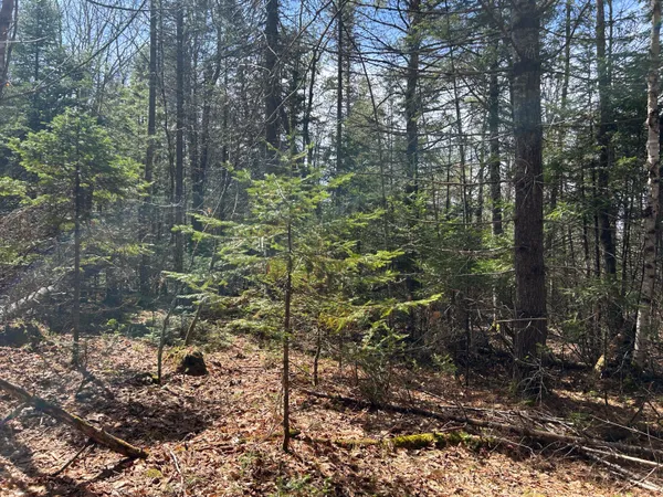 $39,900 | Lot 4 Holley Road, Farmington, ME 04938