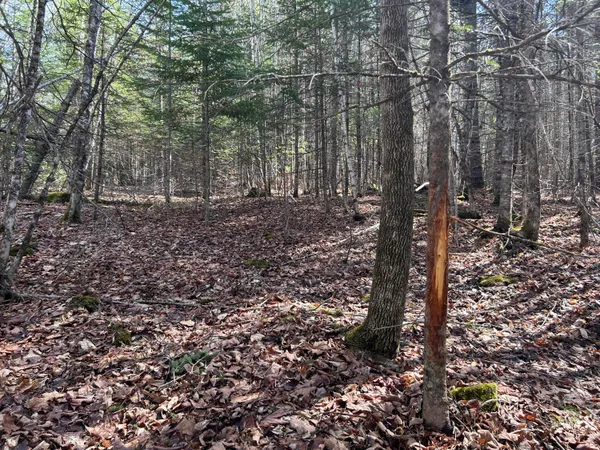 $39,900 | Lot 4 Holley Road, Farmington, ME 04938