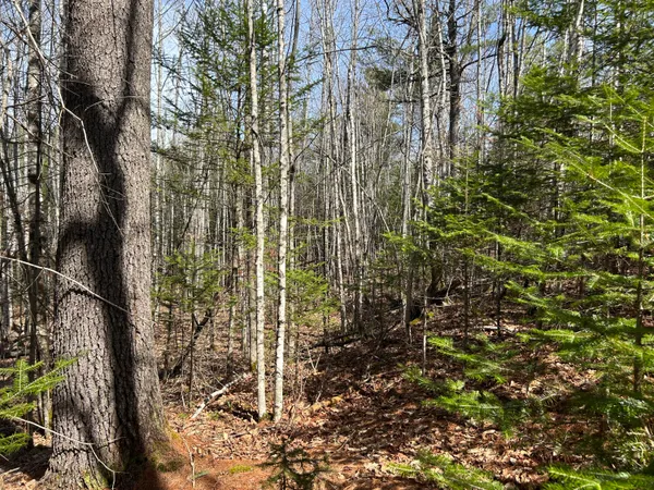 $39,900 | Lot 4 Holley Road, Farmington, ME 04938