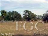 22470 North River Road Alva, FL 33920 - Photo 4 of 7 a swimming pool with trees in the background
