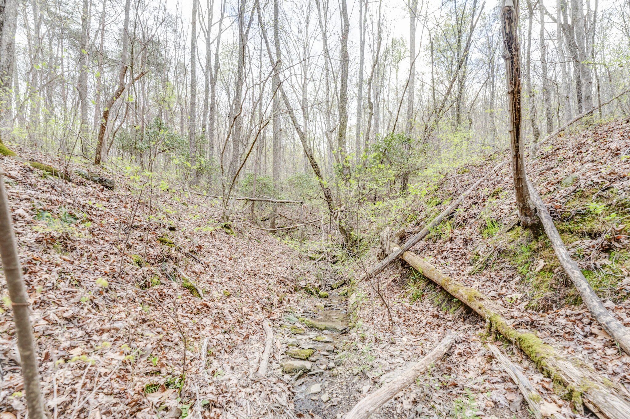 0 Taylors Ridge Road Ringgold, GA 30736 - Photo 8 of 21 17-web-or-mls-DSC00043_4_5