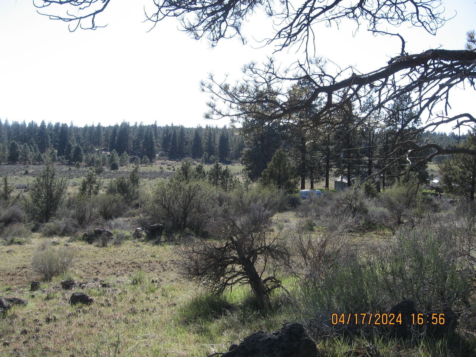 Brant Drive Bonanza, OR 97623 - Photo 8 of 25 8