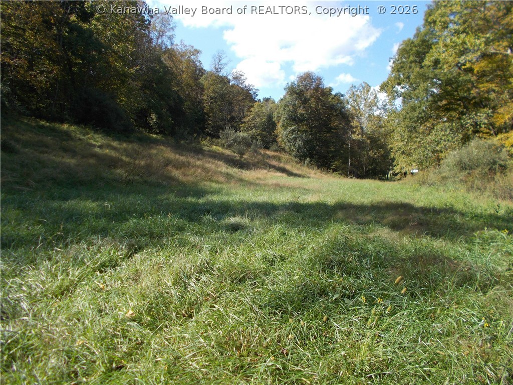 0 Mud Lick Road Liberty, WV 25124 - Photo 24 of 30 Gallery Image 24