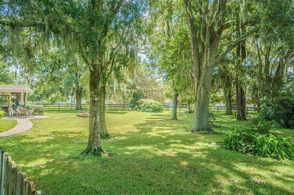 18125 Dorman Road Lithia, FL 33547 - Photo 6 of 56 Gallery Image 6