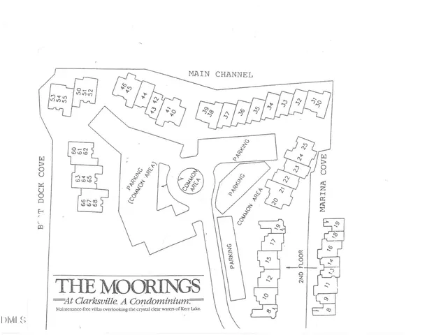 a swimming pool with some tall trees