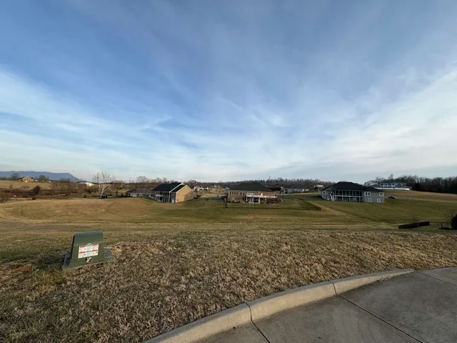 a view of a lake with a city