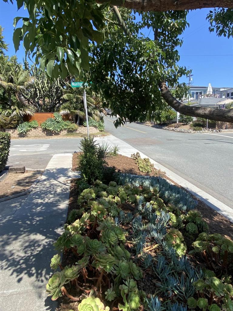 2088 Montgomery Avenue, Unit M Cardiff-by-the-Sea, CA 92007 - Photo 5 of 43 a view of a yard with plants