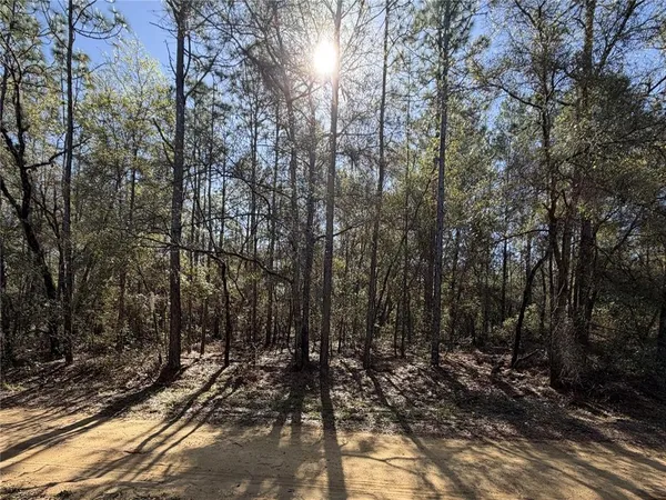 $15,000 | Southeast 7th Avenue, Interlachen, FL 32148