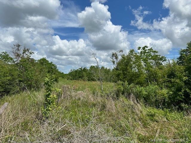 0 West Lincoln Road Lake Charles, LA 70605 - Photo 3 of 4