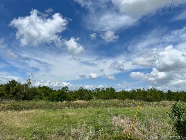 0 West Lincoln Road Lake Charles, LA 70605 - Photo 4 of 4