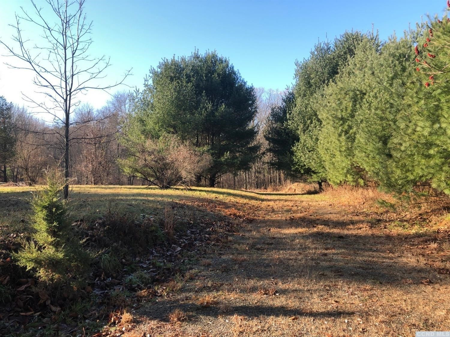 0 Mile Hill Road Kinderhook, NY 12184 - Photo 3 of 3 Photo 3