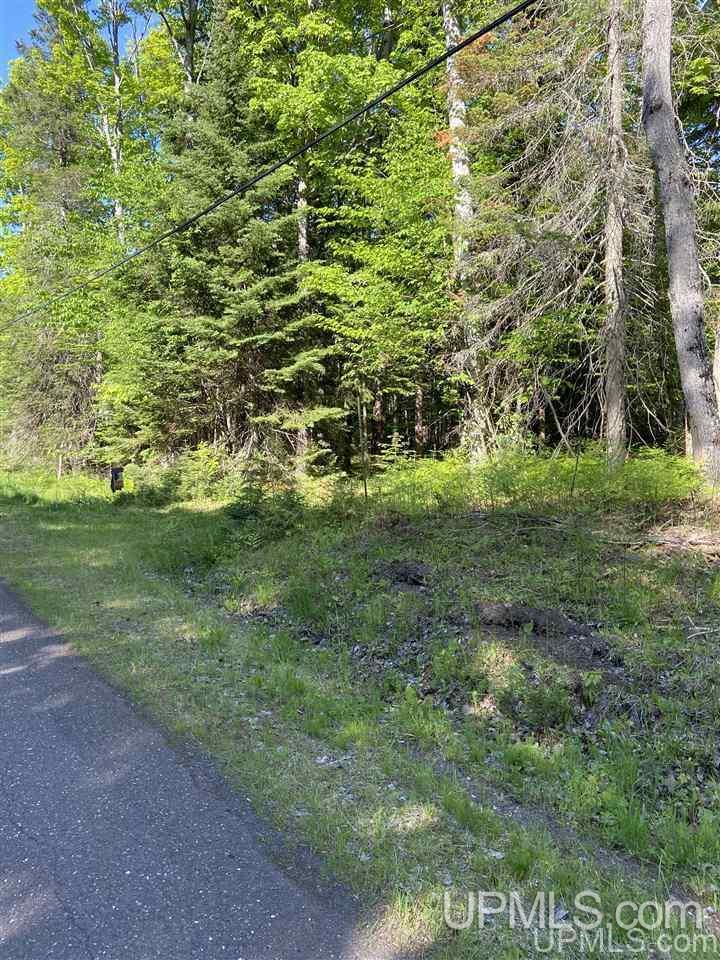 Tbd North Grosse Point Shores Road Dollar Bay, MI 49922 - Photo 15 of 16