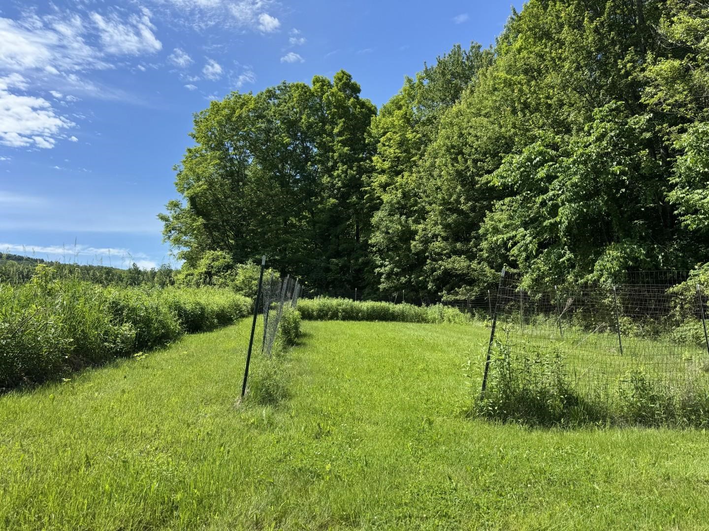 1198 Georgia Mountain Road Georgia, VT 05454 - Photo 20 of 26