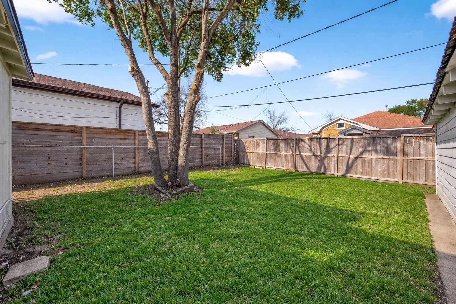 2417 Ruth Street Houston, TX 77004 - Photo 32 of 33 a view of a yard with a large tree