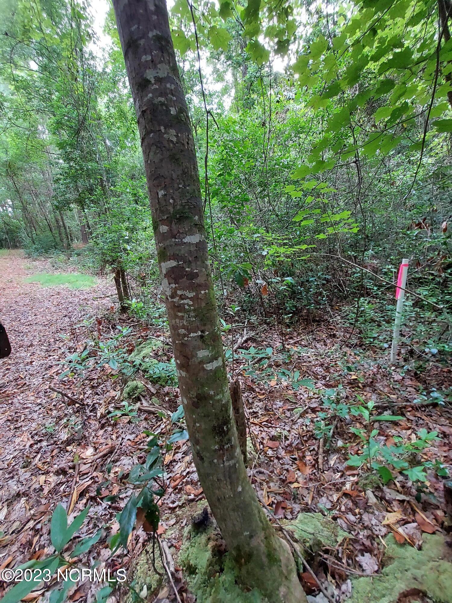 Lot 4 Oak Haven Road Atkinson, NC 28421 - Photo 11 of 17 20220630_181240
