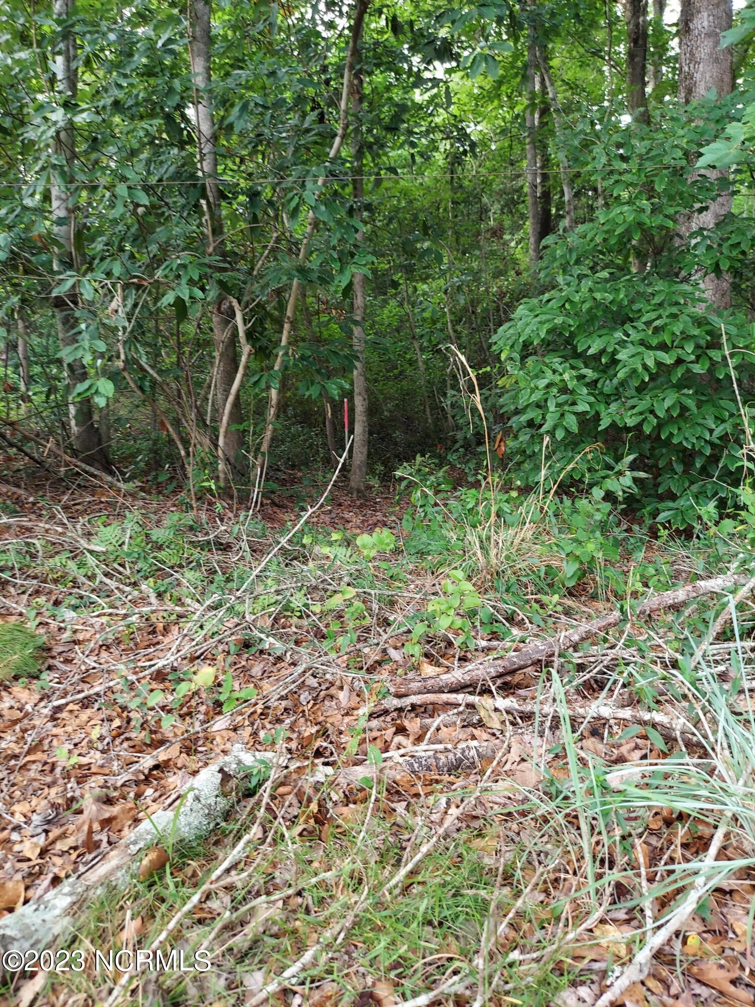 Lot 4 Oak Haven Road Atkinson, NC 28421 - Photo 12 of 17 20220630_180817